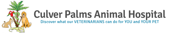 Culver Palms Animal Hospital